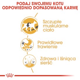 ROYAL CANIN SIAMESE Adult 400g - Zdjęcie nr 5