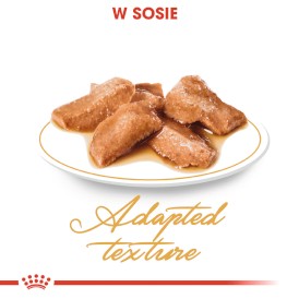 ROYAL CANIN Maine Coon Adult w sosie 12x85g - Zdjęcie nr 4