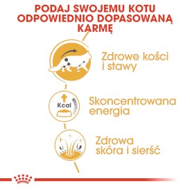 ROYAL CANIN Maine Coon Adult w sosie 12x85g - Zdjęcie nr 5