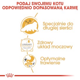 ROYAL CANIN Persian Adult w pasztecie 12x85g - Zdjęcie nr 6