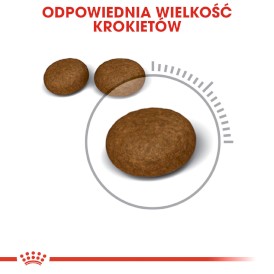 ROYAL CANIN Hair / Skin Care 10kg - Zdjęcie nr 5