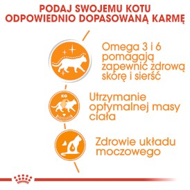 ROYAL CANIN Hair / Skin Care w galaretce 12x85g - Zdjęcie nr 7
