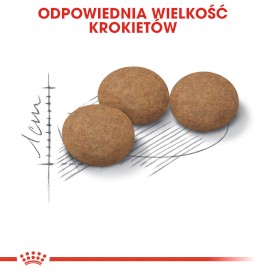 ROYAL CANIN Ageing 12+ Senior Sterilised 400g - Zdjęcie nr 5