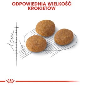 ROYAL CANIN Exigent Aroma Preference 10kg - Zdjęcie nr 4