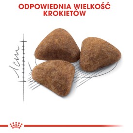 ROYAL CANIN Indoor 27 10kg - Zdjęcie nr 5