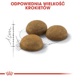 ROYAL CANIN Indoor Long Hair 4kg - Zdjęcie nr 4