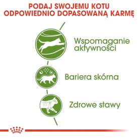 ROYAL CANIN Outdoor 30 10kg - Zdjęcie nr 4