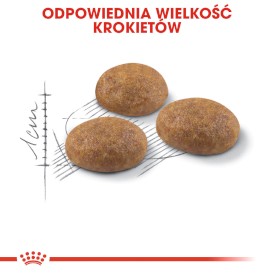 ROYAL CANIN Outdoor 30 10kg - Zdjęcie nr 5