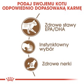 ROYAL CANIN Ageing 12+ w sosie 12x85g - Zdjęcie nr 5