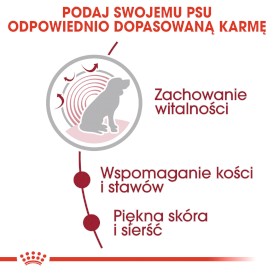 ROYAL CANIN Medium Ageing 10+ w sosie 140g - Zdjęcie nr 4