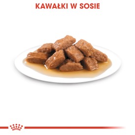 ROYAL CANIN Medium Ageing 10+ w sosie 140g - Zdjęcie nr 5