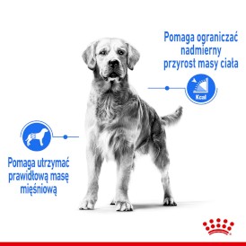 ROYAL CANIN Maxi Light Weight Care 3kg - Zdjęcie nr 4