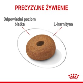 ROYAL CANIN Maxi Light Weight Care 3kg - Zdjęcie nr 6
