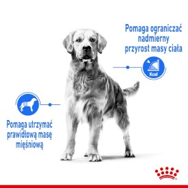 ROYAL CANIN Medium Light Weight Care 3kg - Zdjęcie nr 4