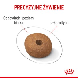 ROYAL CANIN Medium Light Weight Care 12kg - Zdjęcie nr 6