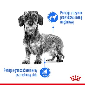 ROYAL CANIN Mini Light Weight Care 3kg - Zdjęcie nr 4