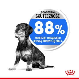 ROYAL CANIN Mini Light Weight Care 3kg - Zdjęcie nr 5