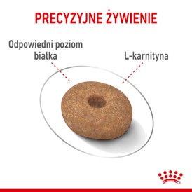 ROYAL CANIN Mini Light Weight Care 3kg - Zdjęcie nr 6