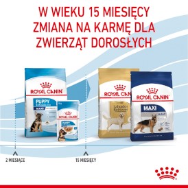 ROYAL CANIN Maxi Puppy 15kg - Zdjęcie nr 7
