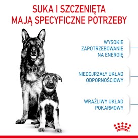 ROYAL CANIN Maxi Starter Mother / Babydog 15kg - Zdjęcie nr 4