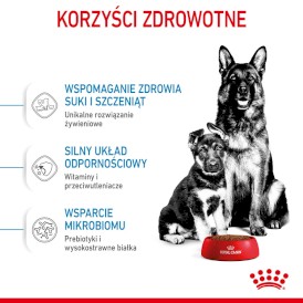 ROYAL CANIN Maxi Starter Mother / Babydog 15kg - Zdjęcie nr 5