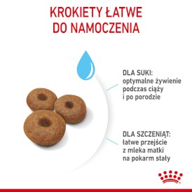 ROYAL CANIN Maxi Starter Mother / Babydog 15kg - Zdjęcie nr 6