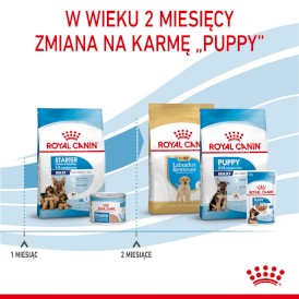ROYAL CANIN Maxi Starter Mother / Babydog 15kg - Zdjęcie nr 7