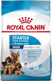 ROYAL CANIN Maxi Starter Mother / Babydog 15kg - Zdjęcie nr 2