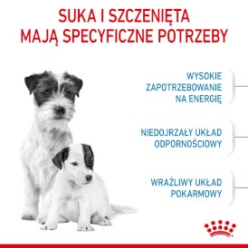 ROYAL CANIN Mini Starter Mother / Babydog 1kg - Zdjęcie nr 4