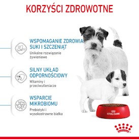 ROYAL CANIN Mini Starter Mother / Babydog 1kg - Zdjęcie nr 5