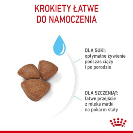 ROYAL CANIN Mini Starter Mother / Babydog 1kg - Zdjęcie nr 6