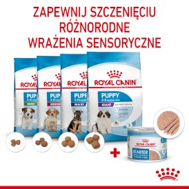 ROYAL CANIN Starter Mother / Babydog Mousse 12x195g - Zdjęcie nr 6