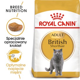 ROYAL CANIN British Shorthair Adult 10kg - Zdjęcie główne