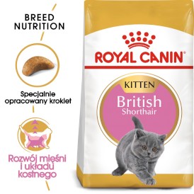 ROYAL CANIN British Shorthair Kitten 10kg - Zdjęcie główne