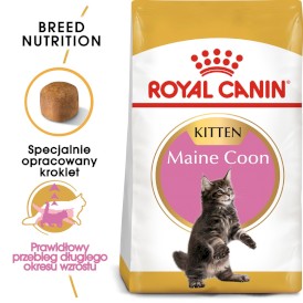 ROYAL CANIN Maine Coon Kitten 10kg - Zdjęcie główne