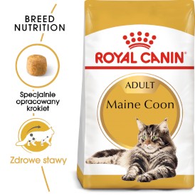 ROYAL CANIN Maine Coon Adult 10kg - Zdjęcie główne