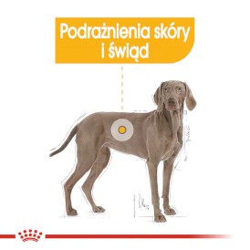 ROYAL CANIN Maxi Dermacomfort 12kg - Zdjęcie nr 4