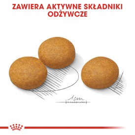 ROYAL CANIN Maxi Dermacomfort 12kg - Zdjęcie nr 6