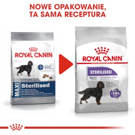 ROYAL CANIN Maxi Sterilised 12kg - Zdjęcie nr 3