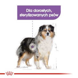 ROYAL CANIN Medium Sterilised 12kg - Zdjęcie nr 4