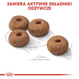ROYAL CANIN Medium Sterilised 12kg - Zdjęcie nr 6