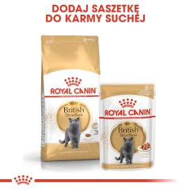 ROYAL CANIN British Shorthair Adult 10kg - Zdjęcie nr 6