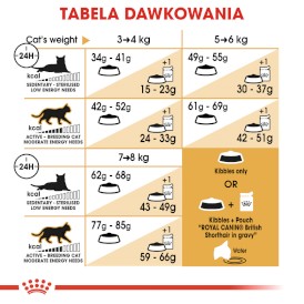 ROYAL CANIN British Shorthair Adult 10kg - Zdjęcie nr 7