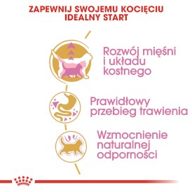 ROYAL CANIN British Shorthair Kitten 10kg - Zdjęcie nr 5