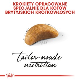 ROYAL CANIN British Shorthair Kitten 10kg - Zdjęcie nr 6