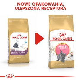 ROYAL CANIN British Shorthair Kitten 10kg - Zdjęcie nr 7