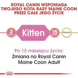 ROYAL CANIN Maine Coon Kitten 10kg - Zdjęcie nr 4