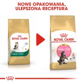 ROYAL CANIN Maine Coon Kitten 10kg - Zdjęcie nr 7