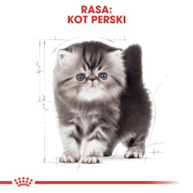 ROYAL CANIN PERSIAN Kitten 400g - Zdjęcie nr 3