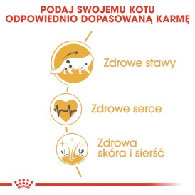 ROYAL CANIN Maine Coon Adult 10kg - Zdjęcie nr 5